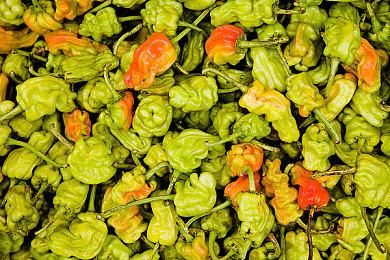 Fami通新一周销量榜 《桃太郎电铁世界》登顶